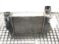 Intercooler Renault Kadjar (HA_, HL_) 2015 - 2022 144614EB1B