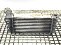Intercooler Peugeot Partner 2008 - 2022 9684212480