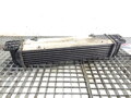 Intercooler BMW X1 (E84) 2009 - 2015 7379167