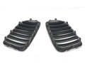 Maska chladiče grill BMW X1 (E84) 2009 - 2015 2993308
