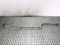 Hadice klimatizace Renault Trafic III Autobus (JG_) 2014 - 2022 924625753R