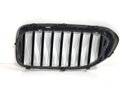 Maska chladiče grill ledvina pravá BMW 5 Touring (G31) 2017 - 2022 7383520