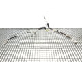 Hadice klimatizace Opel Zafira Tourer C (P12) 2011 - 2022 13438082