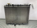Chladič vody Peugeot 207 (WA_, WC_) 2006 - 2015 9685852680