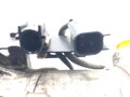 Kompresor klimatizace Volvo XC60 I SUV (156) 2008 - 2017 KTT090083