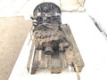 Převodovka DAF AE 75RC ZF 1304301018