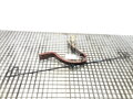Panty víka kufru zadní Hyundai Elantra V Sedan (MD, UD) 2010 - 2022