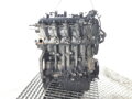 Motor Ford Fiesta VI (CB1, CCN) 2008 - 2022 HHJD
