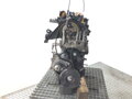 Motor Ford Fiesta VI (CB1, CCN) 2008 - 2022 HHJD