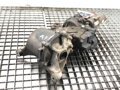 Diferenciál zadní Volvo XC60 I SUV (156) 2008 - 2017 00119818