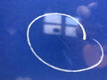 Kapota Daihatsu Cuore VI (L251, L250_, L260_) 2003 - 2022