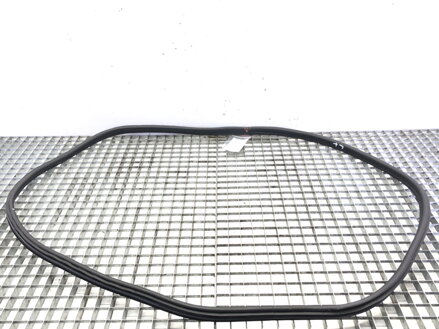 Těsnění dveří zadní levé BMW X3 (G01, F97) 2017 - 2022 7393449