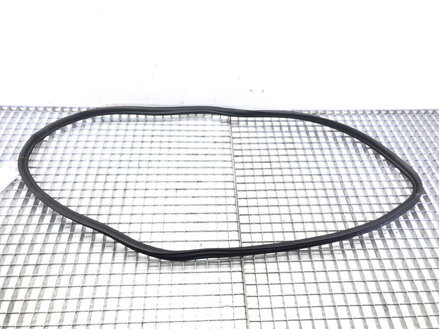 Těsnění dveří zadní pravé BMW 5 (G30, F90) 2016 - 2022 7381326