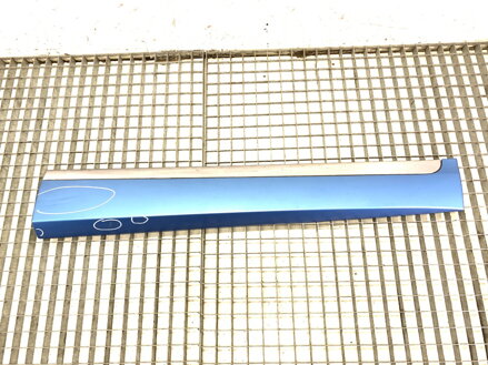 Lišta dveří pravá přední Renault Scénic III (JZ0/1_) 2008 - 2022 801861399R