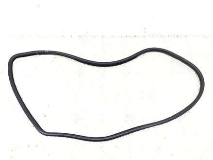 Těsnění dveří zadní pravé BMW X6 (E71, E72) 2007 - 2014