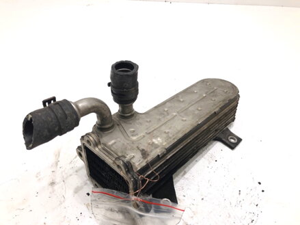 Chladič EGR VW Touran (1T1, 1T2) 2003 - 2010 038131513D