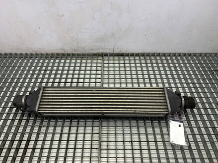 Intercooler Fiat Bravo II (198_) 2006 - 2022