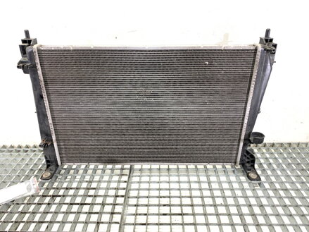 Chladič vody Fiat Bravo II (198_) 2006 - 2022 518969640