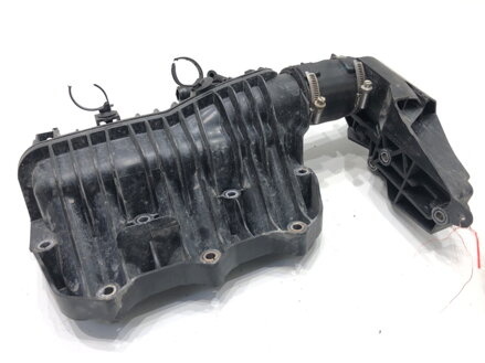 Sací potrubí Ford Ecosport 2011 - 2022 1060231S01