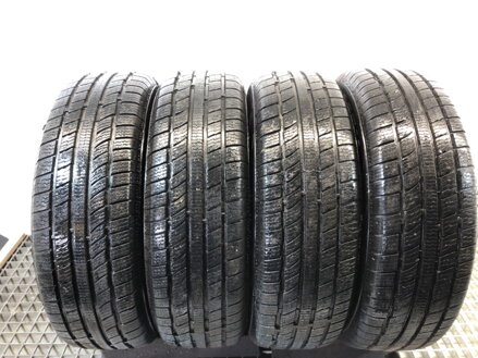 Pneumatika zima 4X 195 / 65 mirage --- ---