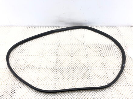 Těsnění dveří přední pravé Renault Arkana I (LCM_) 2019 - 2022