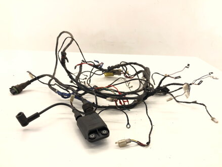 Kabeláž motoru cívka Piaggio Typhoon 2001 - 2014