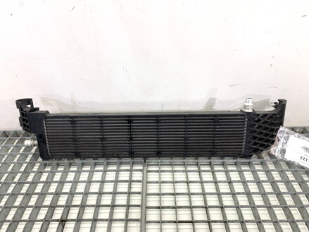 Přídavná chladič vody BMW 5 Touring (G31) 2017 - 2022 8596124