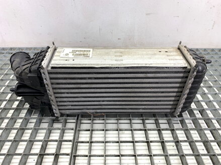 Intercooler Opel Crossland X / Crossland (P17, P2QO) 2017 - 2022 9803900780