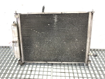 Chladič vody Renault Clio III (BR0/1, CR0/1) 2005 - 2014 8200688390
