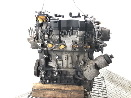 Motor Ford Fiesta VI (CB1, CCN) 2008 - 2022 HHJD