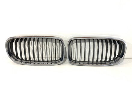 Maska chladiče grill BMW 3 Touring (E91) 2004 - 2012 7201968