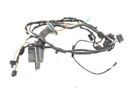 Kabeláž dveře přední levá BMW X5 (E70) 2006 - 2013 9203113