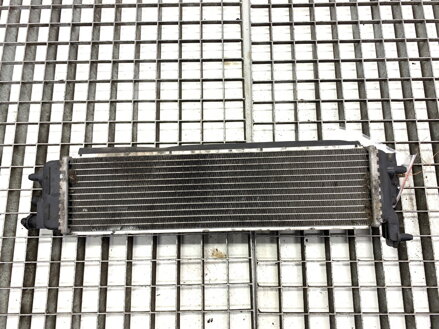 Chladič vody Peugeot 3008 (MPV) (0U_) 2009 - 2017 9671927980