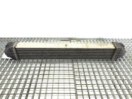 Intercooler Mercedes-benz Class B Sports Tourer (W245) 2005 - 2011 A1695000000