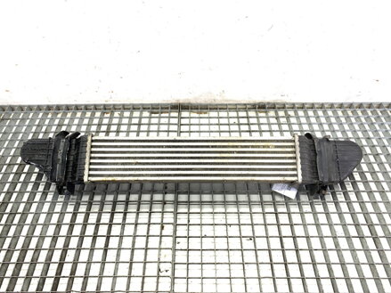 Intercooler Mercedes-benz Class S (W220) 1998 - 2005