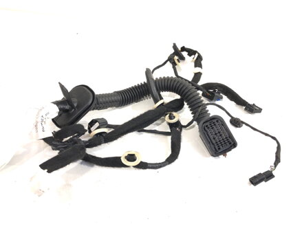 Kabeláž dveře přední levá Renault Clio V (B7_) 2019 - 2022 241257125R