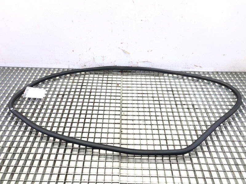 Těsnění dveří přední levé Jeep Compass (MP, M6) 2016 - 2022