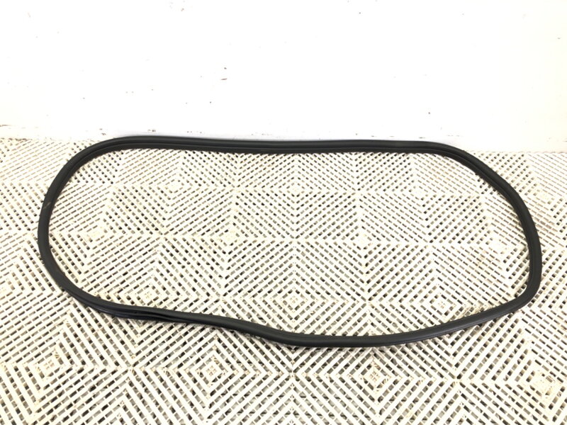 Těsnění dveří zadní levé BMW X1 (U11) 2022-2025