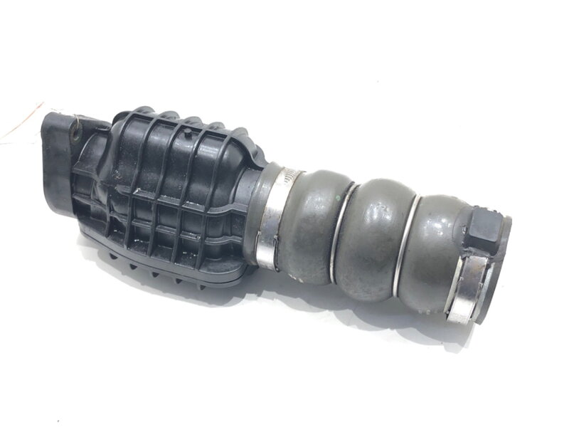 Potrubí turba Peugeot 3008 (MPV) (0U_) 2009 - 2017 9685598580