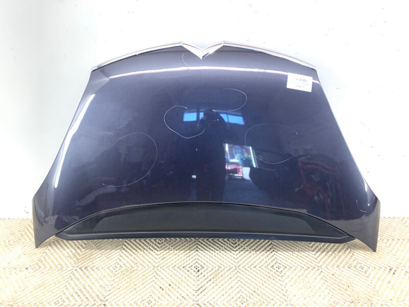 Kapota Citroen C4 Picasso I (MPV) (UD_) 2006 - 2015