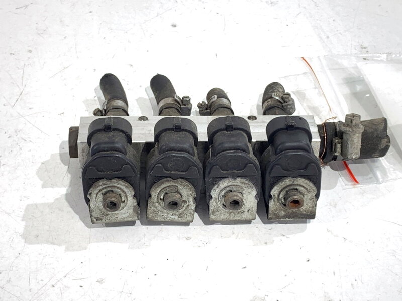 Vstřikovač LPG Ford Focus C-max (DM2) 2003 - 2007 110-R000044