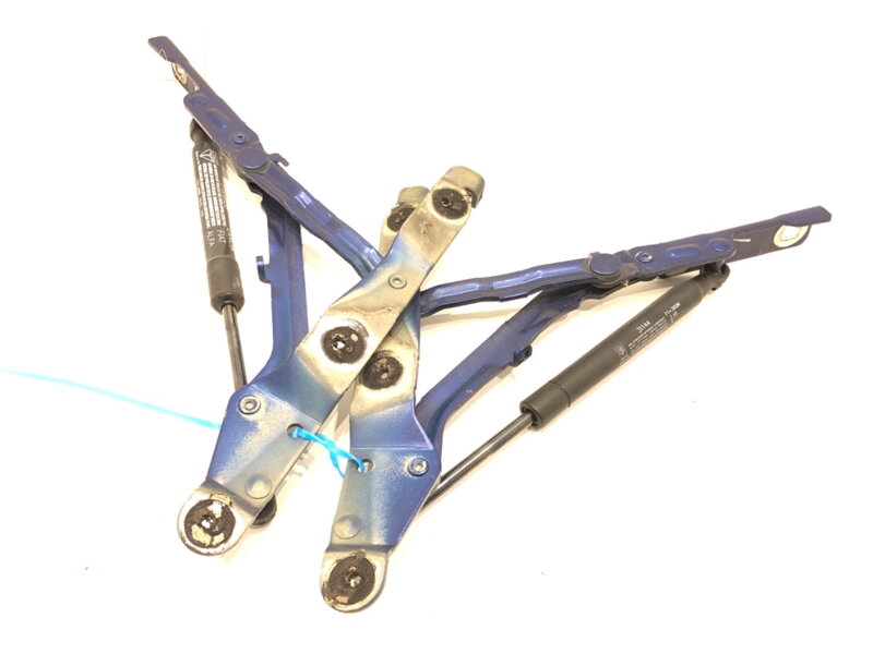 Pant víka kufru zadní sada Fiat Linea (323_, 110_) 2006 - 2022 51859320