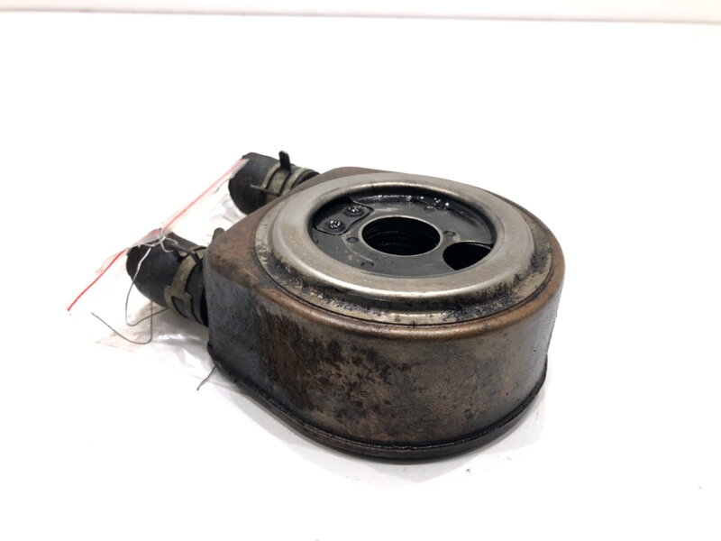 Chladič oleje Suzuki Grand Vitara II (JT, TE, TD) 2005 - 2022 4360055