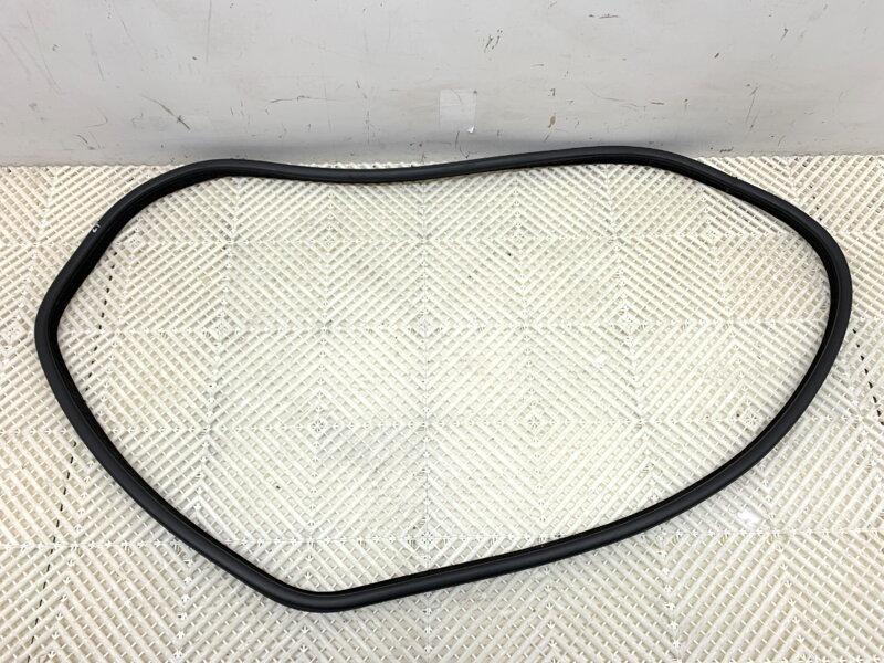 Těsnění dveří zadní levé BMW X6 (F16, F86) 2014 - 2019