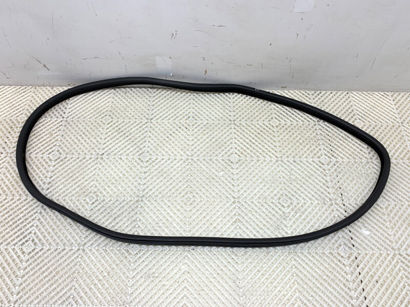 Těsnění dveří zadní pravé BMW X6 (F16, F86) 2014 - 2019