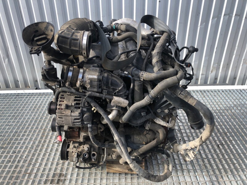 Motor kompletní Ford Transit V363 Autobus (FAD, FBD) 2013 - 2022 YLF6