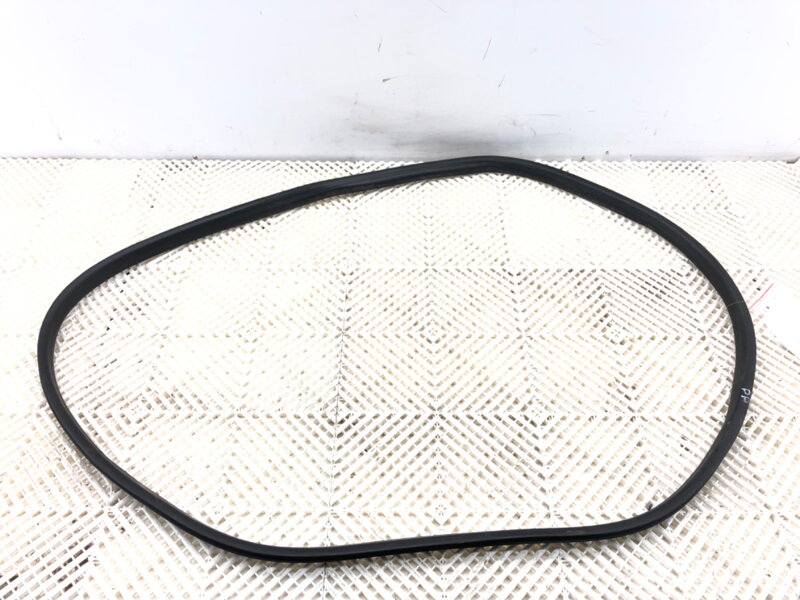 Těsnění dveří přední pravé Renault Arkana I (LCM_) 2019 - 2022