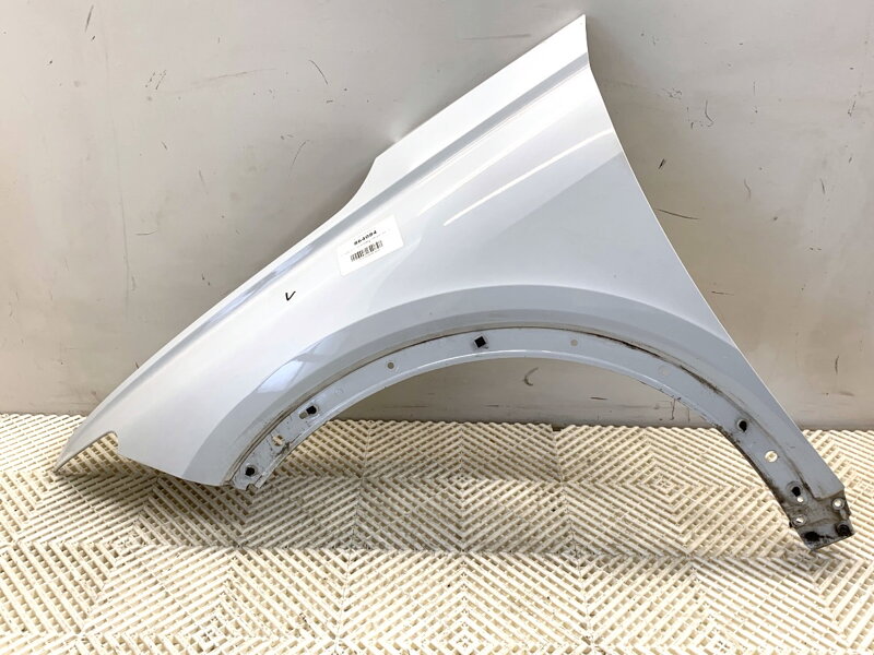 Blatník levý přední Audi Q4 Sportback (F4N) 2021 - 2022