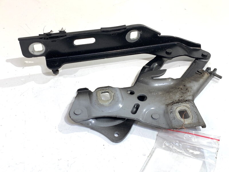 Pant kapoty pravý přední Audi A4 B9 (8W2, 8WC) 2015 - 2022 8W0823302D