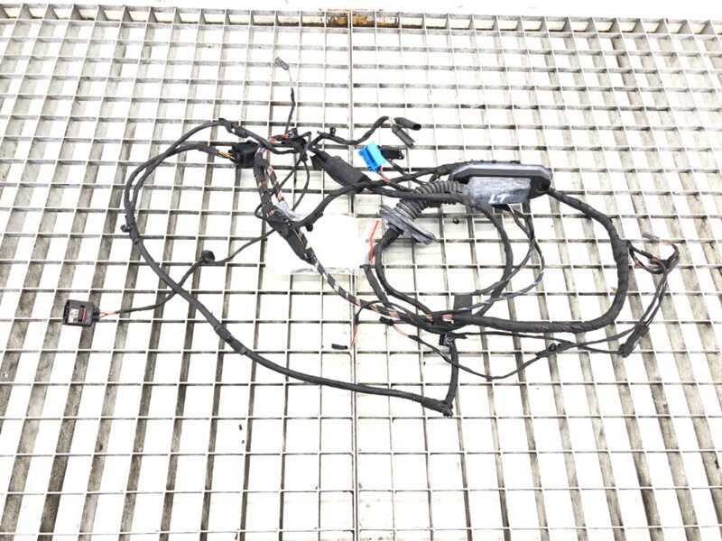 Kabeláž dveře zadní levá BMW 7 (F01, F02, F03, F04) 2008 - 2015 9234348